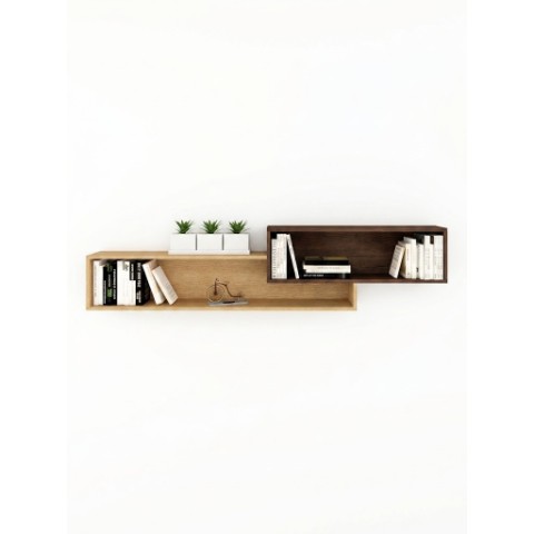 Bansh Shelf