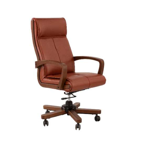 Barishan Director Chair