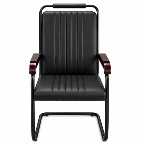 Snighda Visitor Chair 2