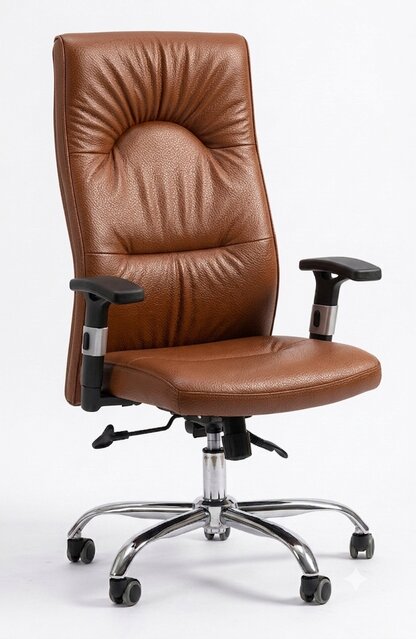 Atashi Director Chair