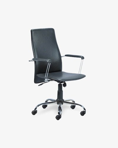 Abchha Swivel Chair
