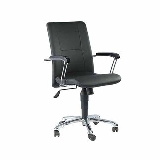 Meghachchhanna Swivel Chair